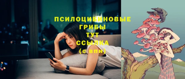 спиды Волоколамск